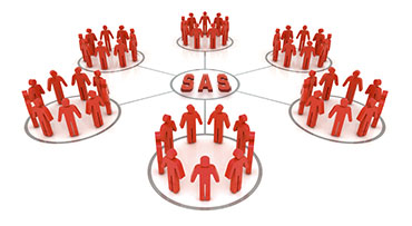 SAS Virtual Model
